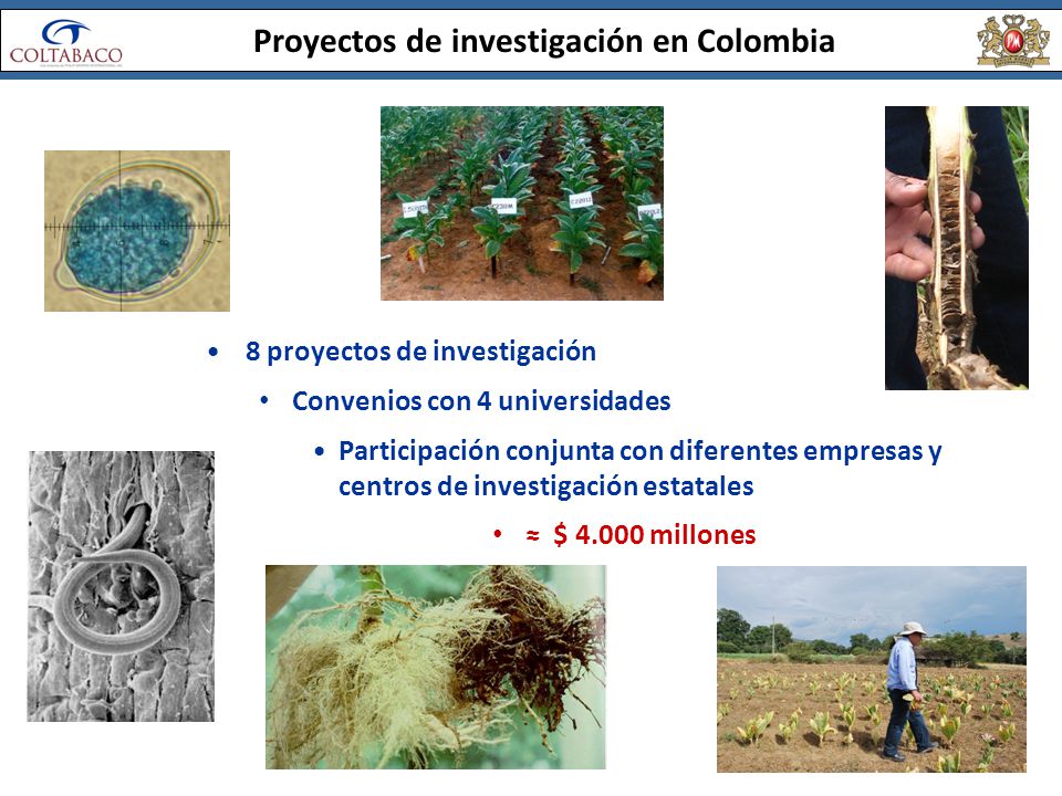 Proyectos de investigación en Colombia