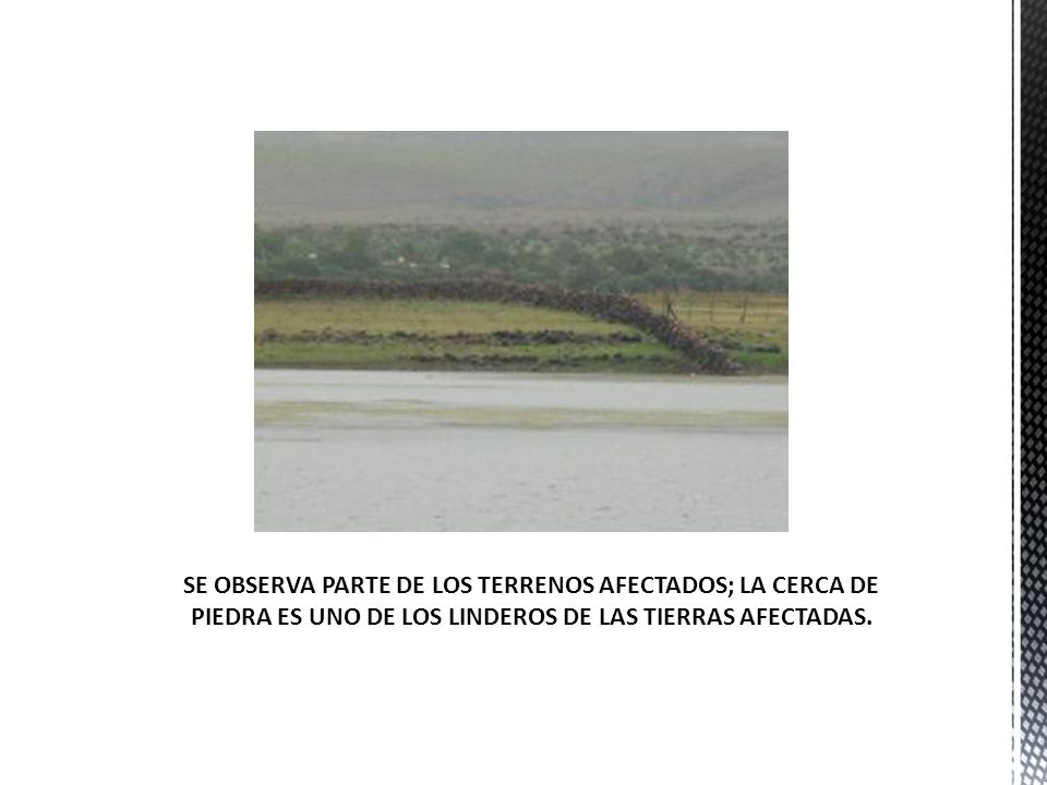 SE OBSERVA PARTE DE LOS TERRENOS AFECTADOS; LA CERCA DE PIEDRA ES UNO DE LOS LINDEROS DE LAS TIERRAS AFECTADAS.