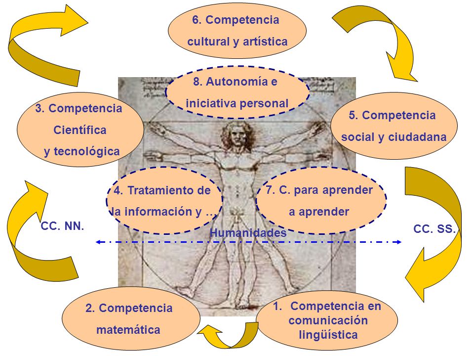 6. Competencia cultural y artística. 8. Autonomía e. iniciativa personal. 3. Competencia. Científica.