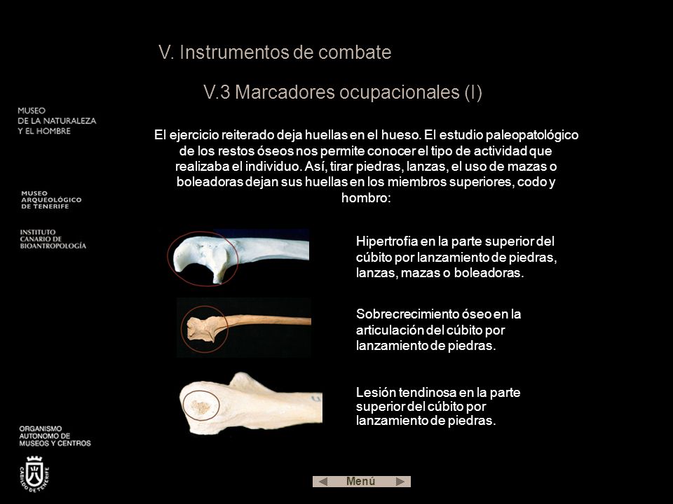 V. Instrumentos de combate V.3 Marcadores ocupacionales (I)