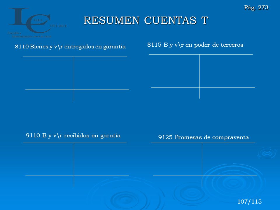 RESUMEN CUENTAS T Pág B y v\r en poder de terceros