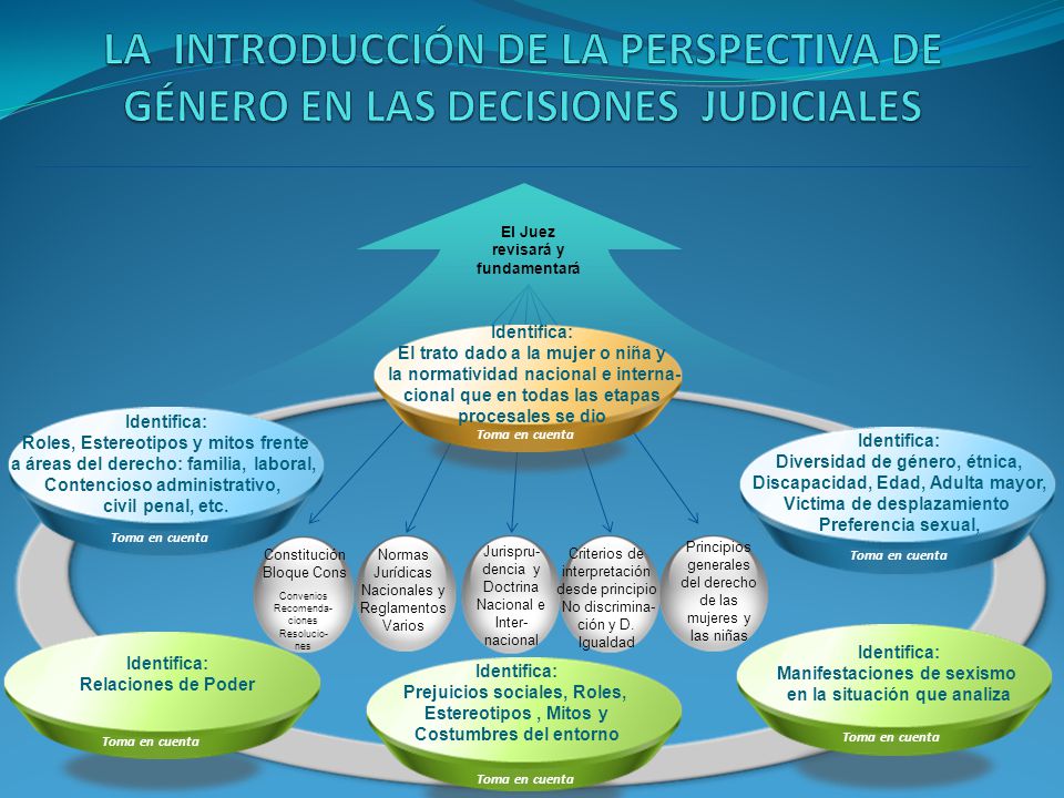 LA INTRODUCCIÓN DE LA PERSPECTIVA DE GÉNERO EN LAS DECISIONES JUDICIALES