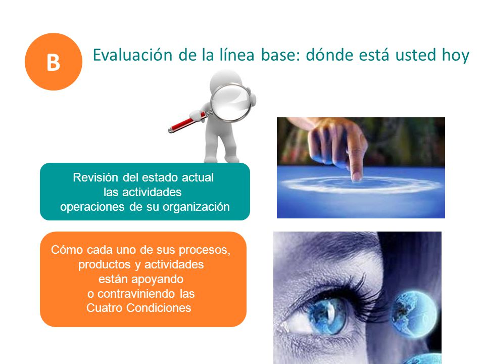 B Evaluación de la línea base: dónde está usted hoy