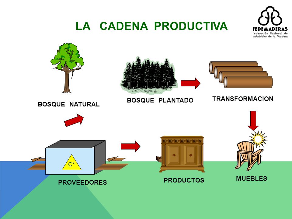 LA CADENA PRODUCTIVA TRANSFORMACION BOSQUE PLANTADO BOSQUE NATURAL