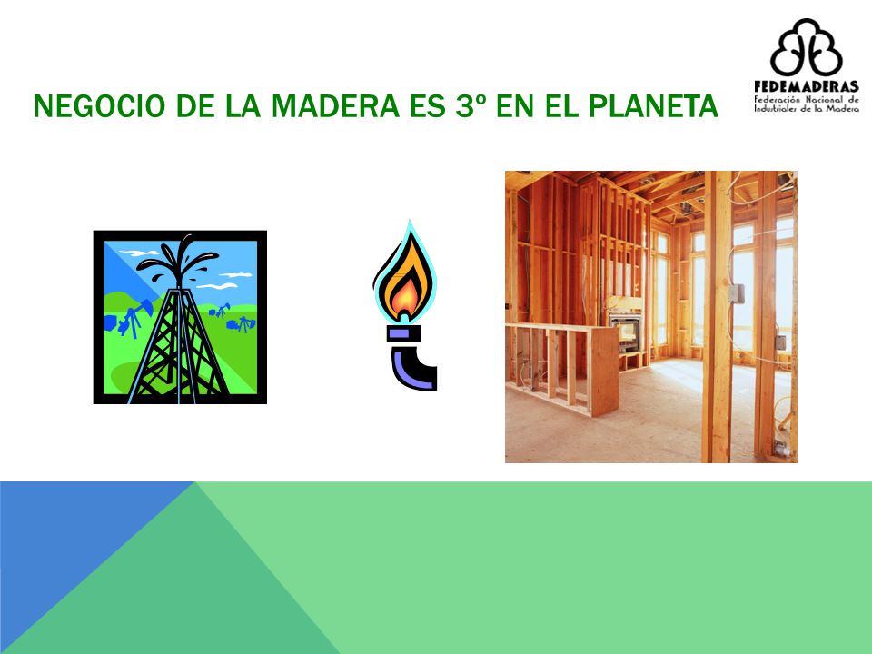 NEGOCIO DE LA MADERA ES 3º EN EL PLANETA