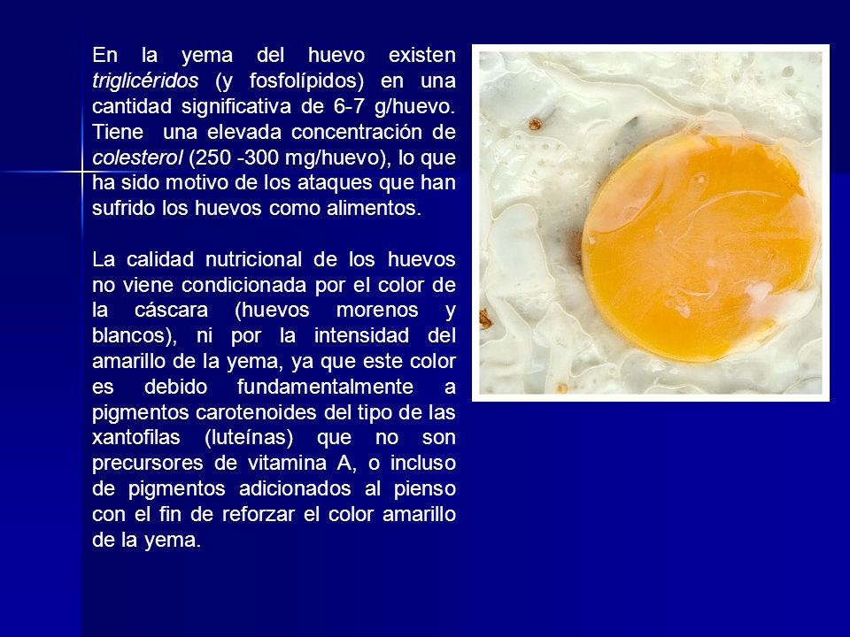 En la yema del huevo existen triglicéridos (y fosfolípidos) en una cantidad significativa de 6-7 g/huevo. Tiene una elevada concentración de colesterol ( mg/huevo), lo que ha sido motivo de los ataques que han sufrido los huevos como alimentos.