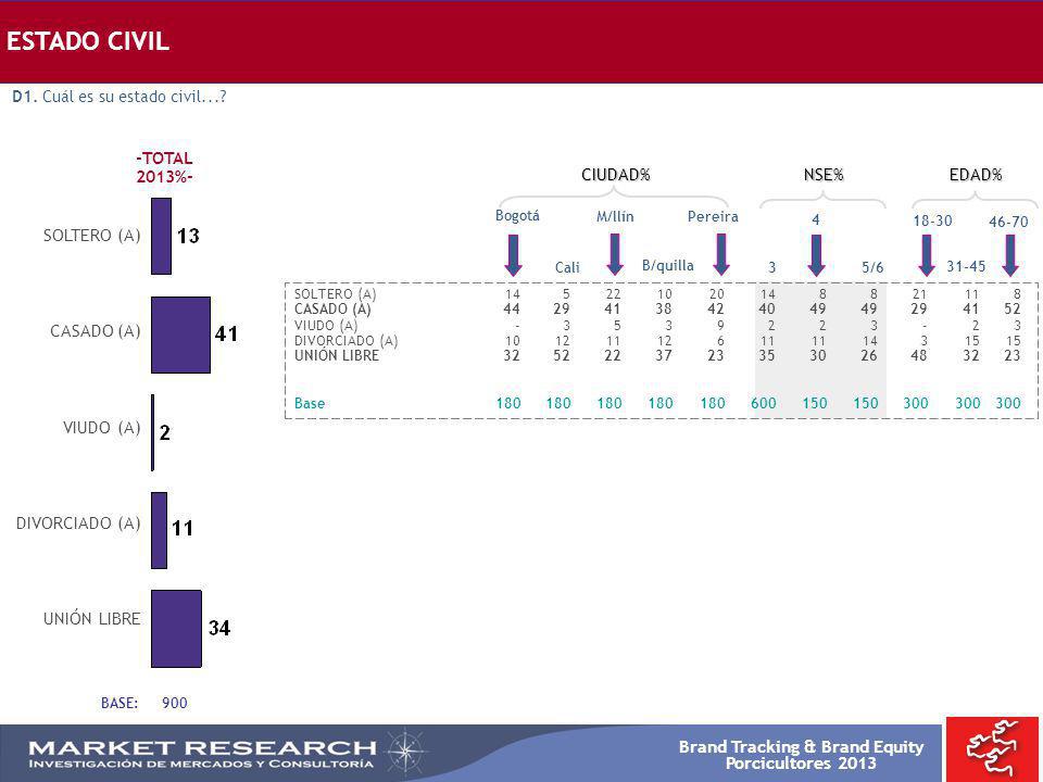 ESTADO CIVIL -TOTAL 2013%- CIUDAD% NSE% EDAD% SOLTERO (A) CASADO (A)
