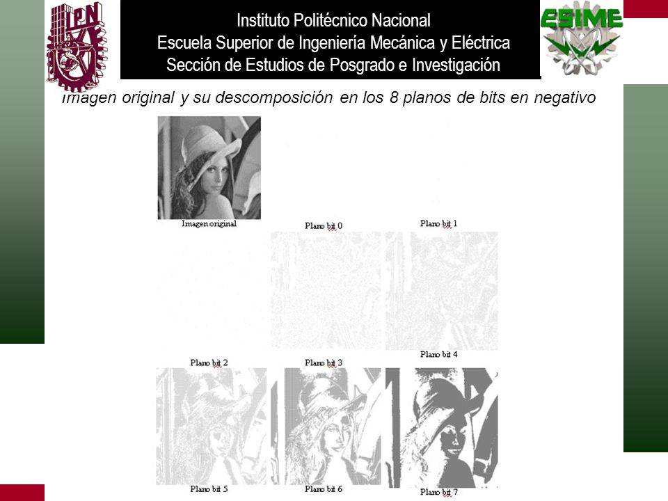 Instituto Politécnico Nacional