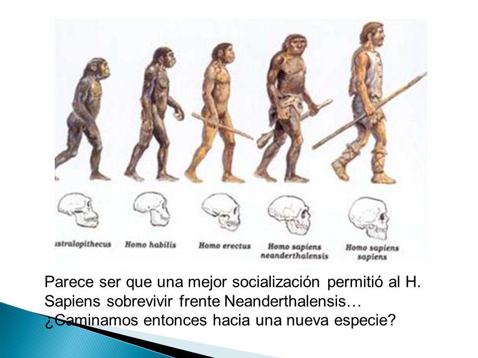 Parece ser que una mejor socialización permitió al H