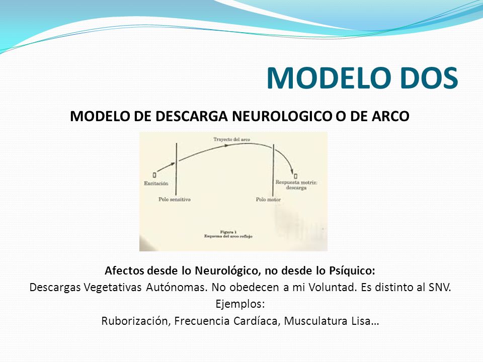 MODELO DOS MODELO DE DESCARGA NEUROLOGICO O DE ARCO REFLEJO