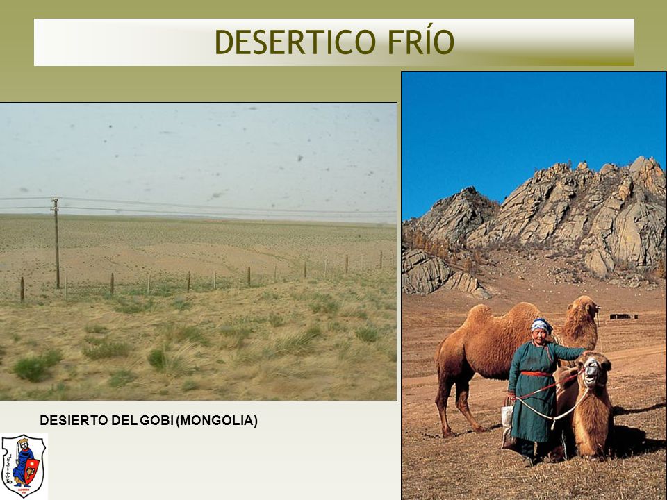 DESERTICO FRÍO DESIERTO DEL GOBI (MONGOLIA)
