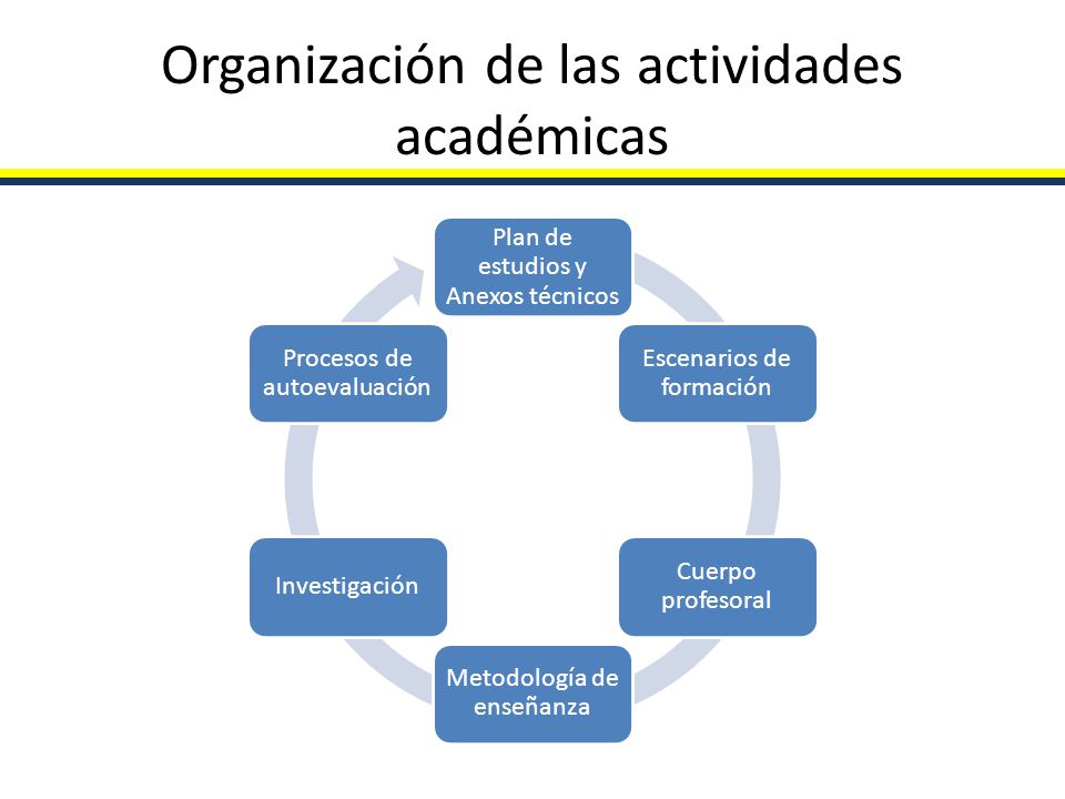 Organización de las actividades académicas