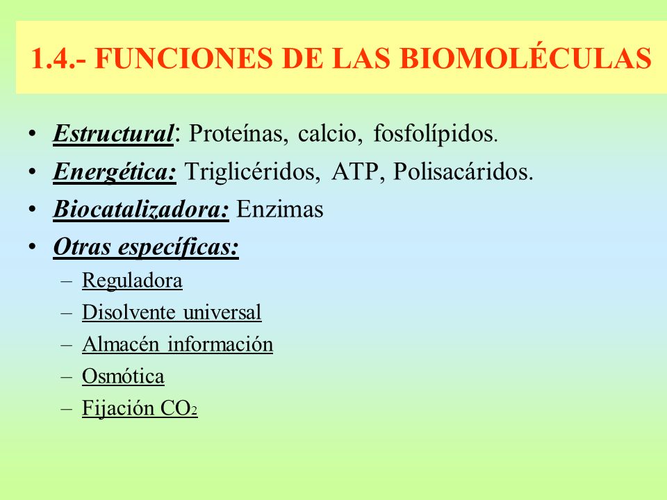 1.4.- FUNCIONES DE LAS BIOMOLÉCULAS