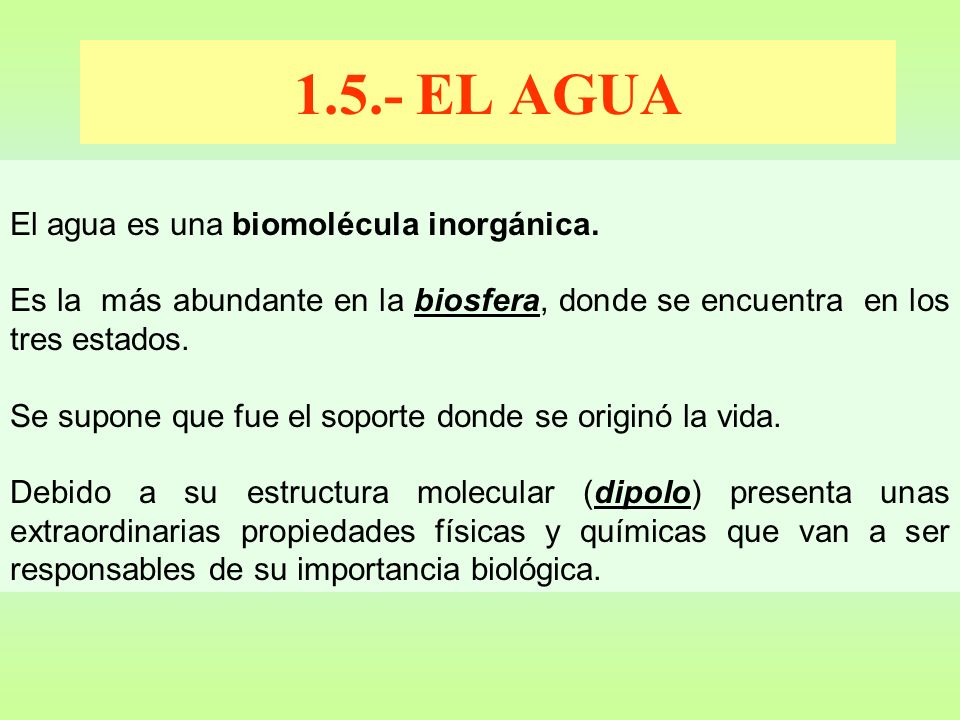 1.5.- EL AGUA El agua es una biomolécula inorgánica.