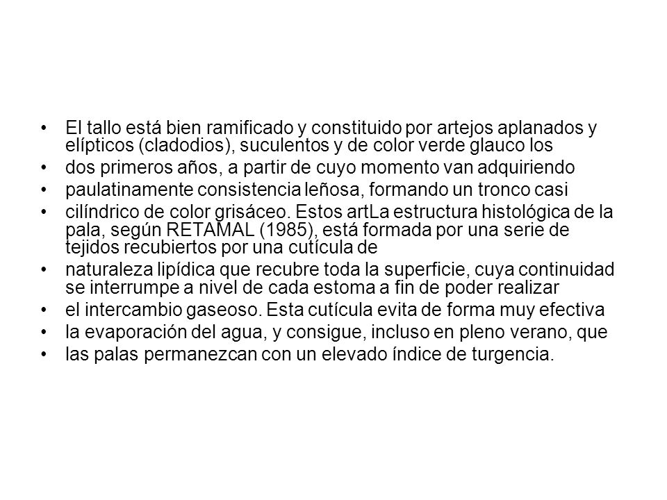 El tallo está bien ramificado y constituido por artejos aplanados y elípticos (cladodios), suculentos y de color verde glauco los
