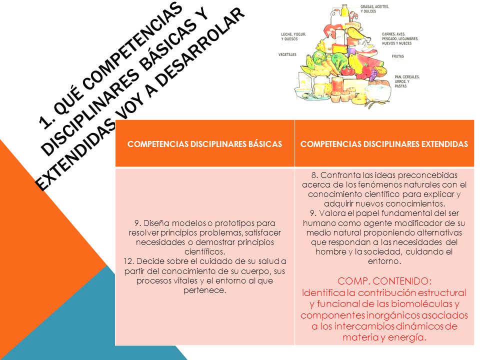 1. QUÉ COMPETENCIAS DISCIPLINARES BÁSICAS Y EXTENDIDAS VOY A DESARROLAR