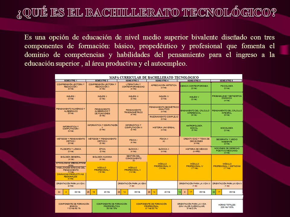 ¿QUÉ ES EL BACHILLERATO TECNOLÓGICO