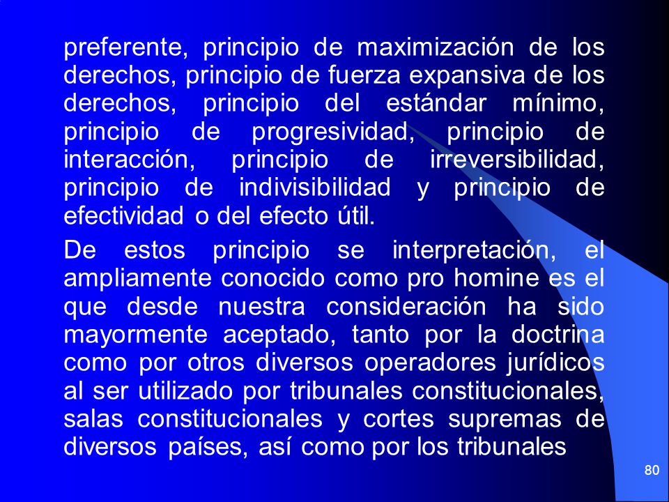 preferente, principio de maximización de los derechos, principio de fuerza expansiva de los derechos, principio del estándar mínimo, principio de progresividad, principio de interacción, principio de irreversibilidad, principio de indivisibilidad y principio de efectividad o del efecto útil.