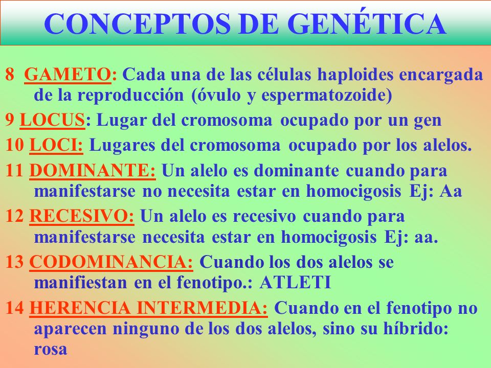 CONCEPTOS DE GENÉTICA 8 GAMETO: Cada una de las células haploides encargada de la reproducción (óvulo y espermatozoide)