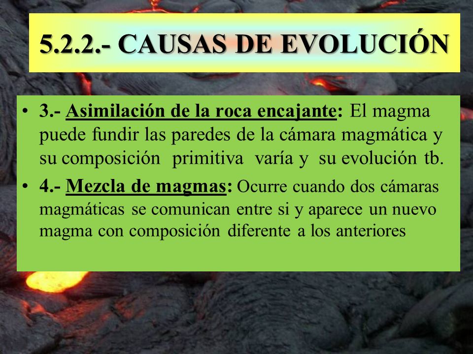 CAUSAS DE EVOLUCIÓN