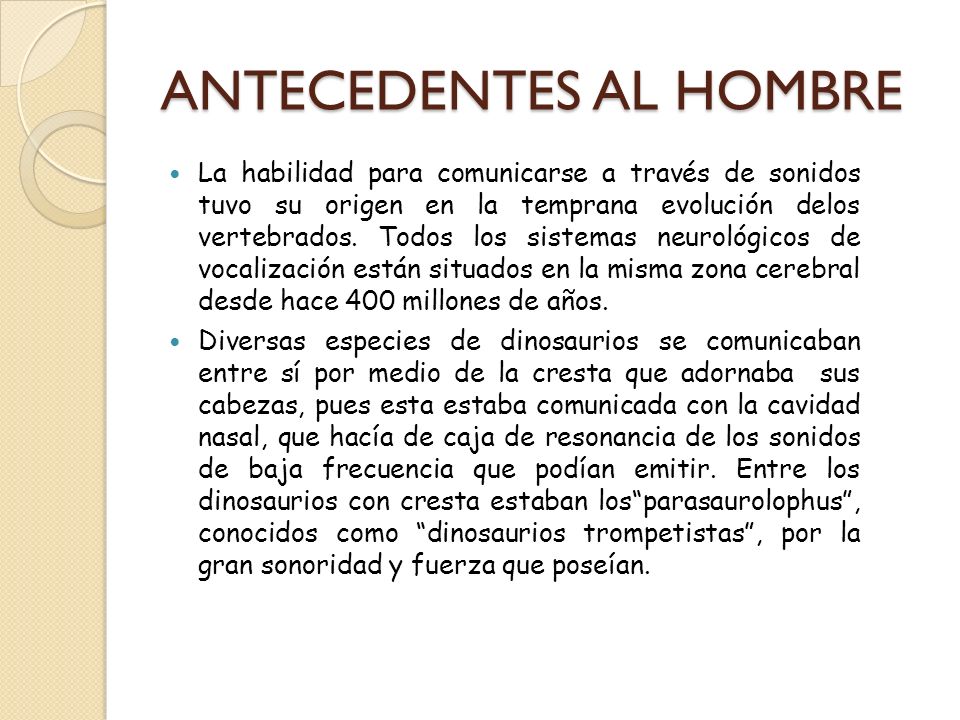 ANTECEDENTES AL HOMBRE