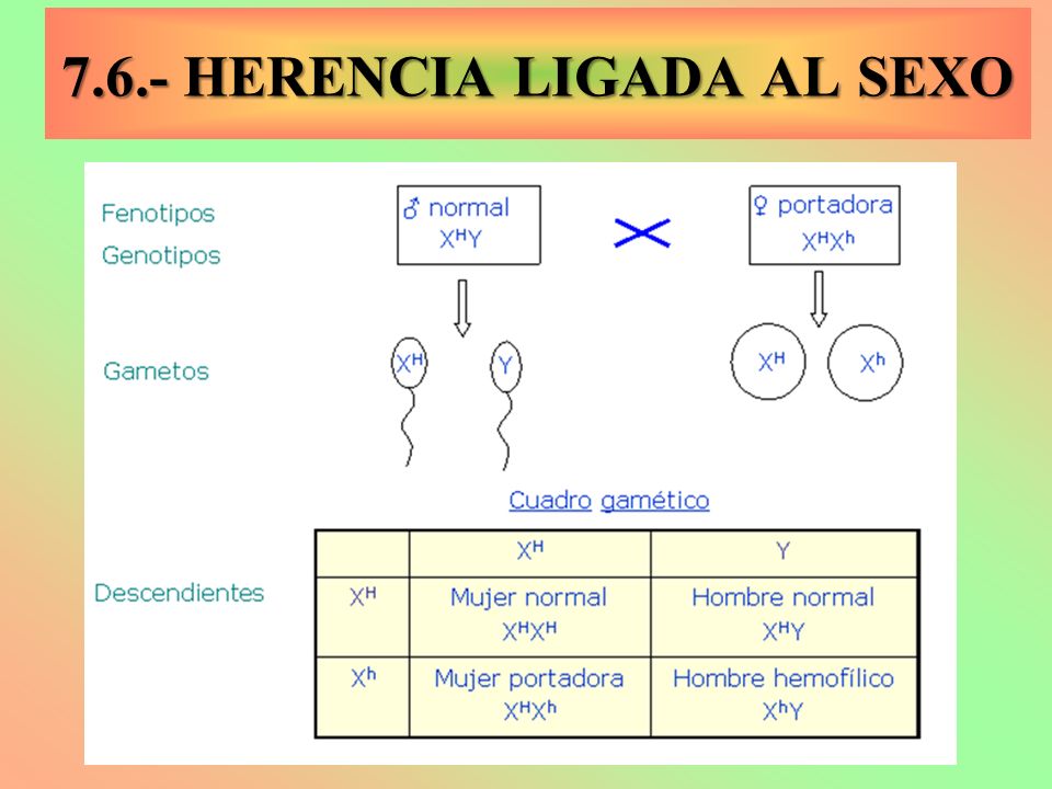 7.6.- HERENCIA LIGADA AL SEXO