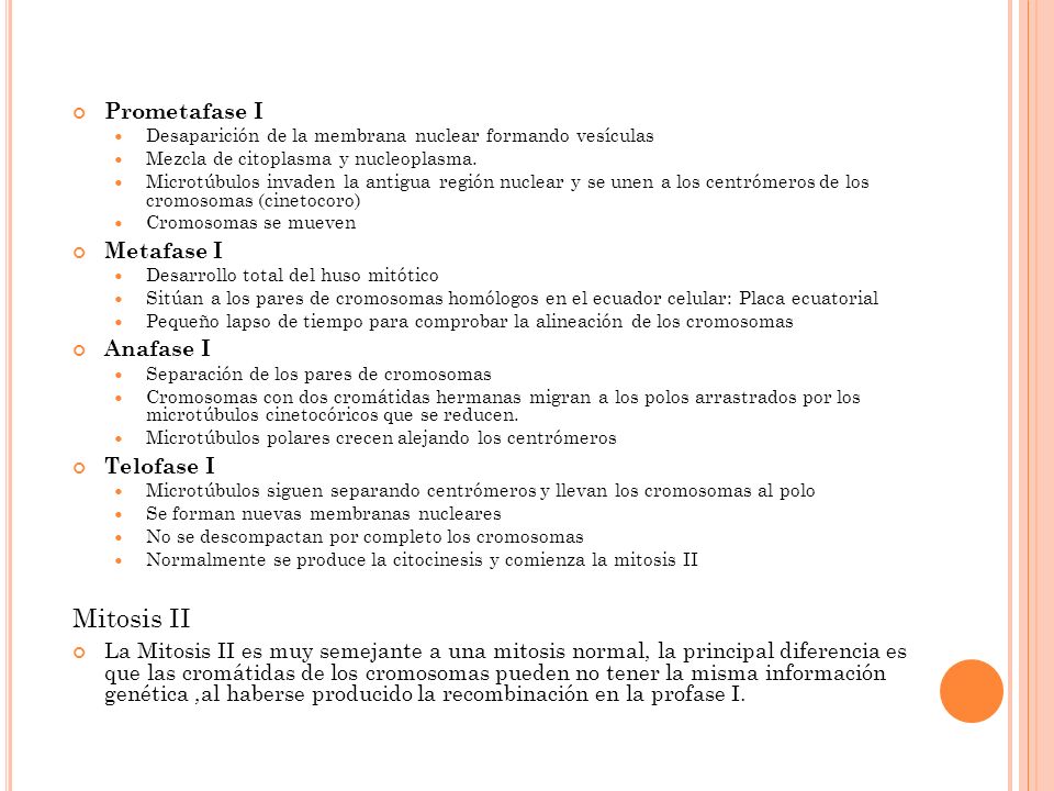Mitosis II Prometafase I Metafase I Anafase I Telofase I