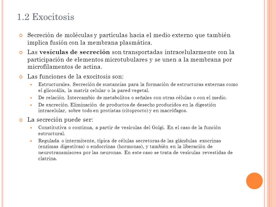 1.2 Exocitosis Secreción de moléculas y partículas hacia el medio externo que también implica fusión con la membrana plasmática.
