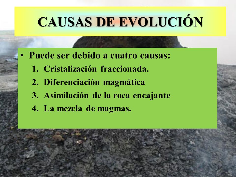 CAUSAS DE EVOLUCIÓN Puede ser debido a cuatro causas: