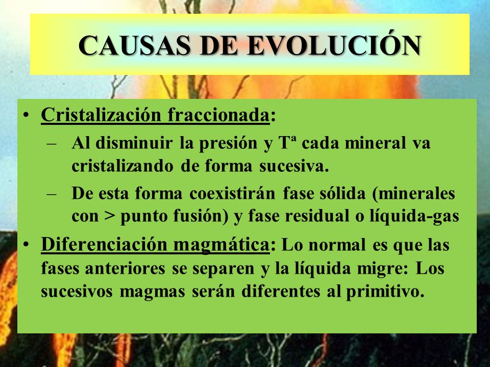 CAUSAS DE EVOLUCIÓN Cristalización fraccionada: