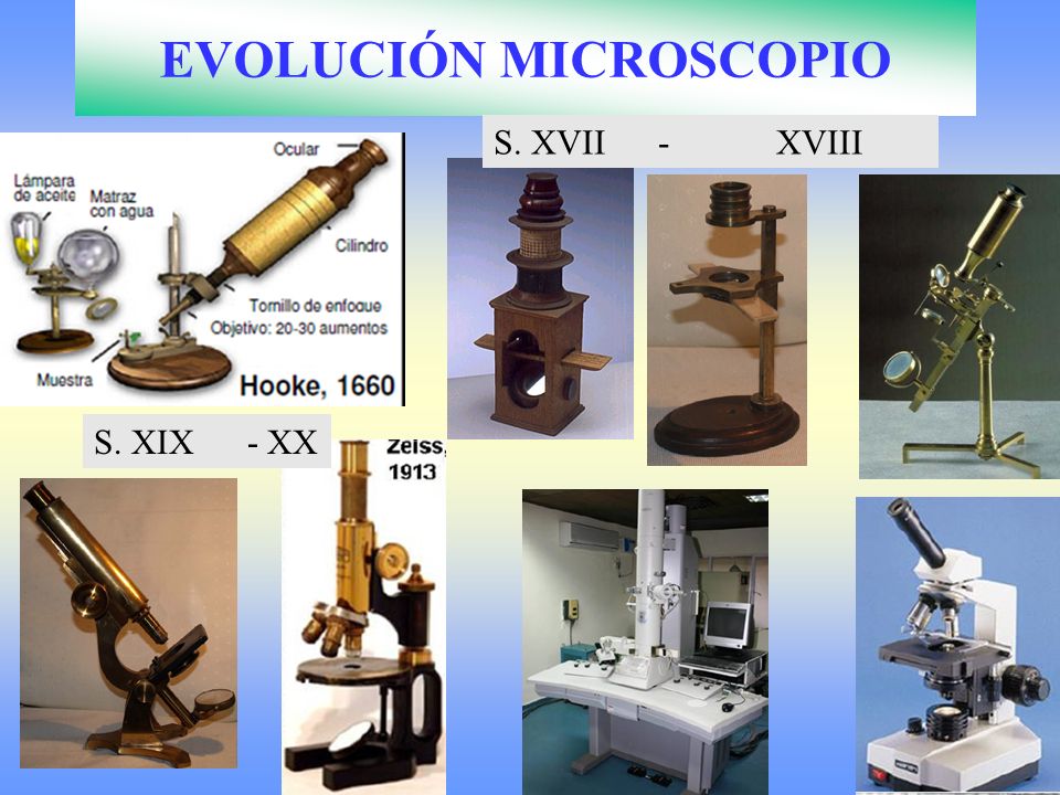 EVOLUCIÓN MICROSCOPIO