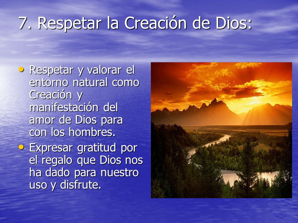 7. Respetar la Creación de Dios: