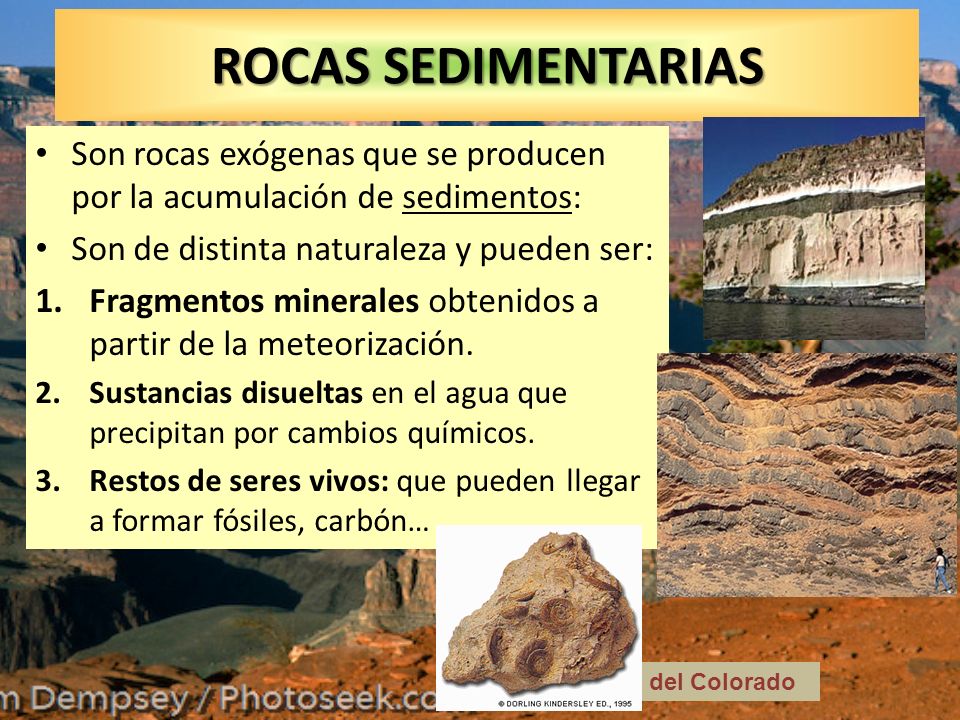 ROCAS SEDIMENTARIAS Son rocas exógenas que se producen por la acumulación de sedimentos: Son de distinta naturaleza y pueden ser: