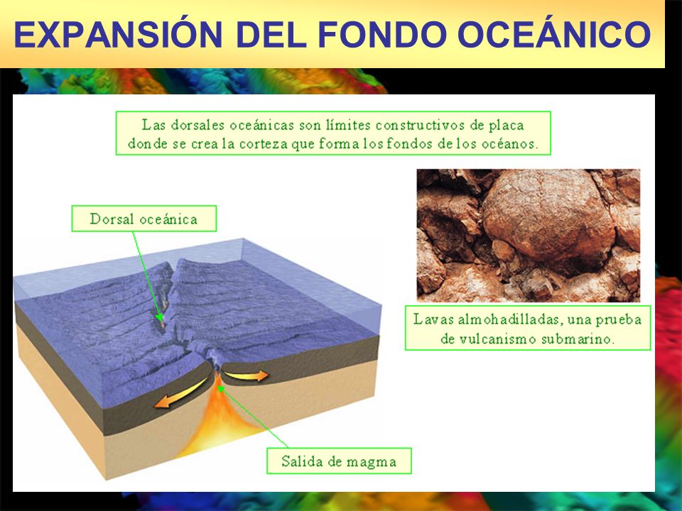 EXPANSIÓN DEL FONDO OCEÁNICO
