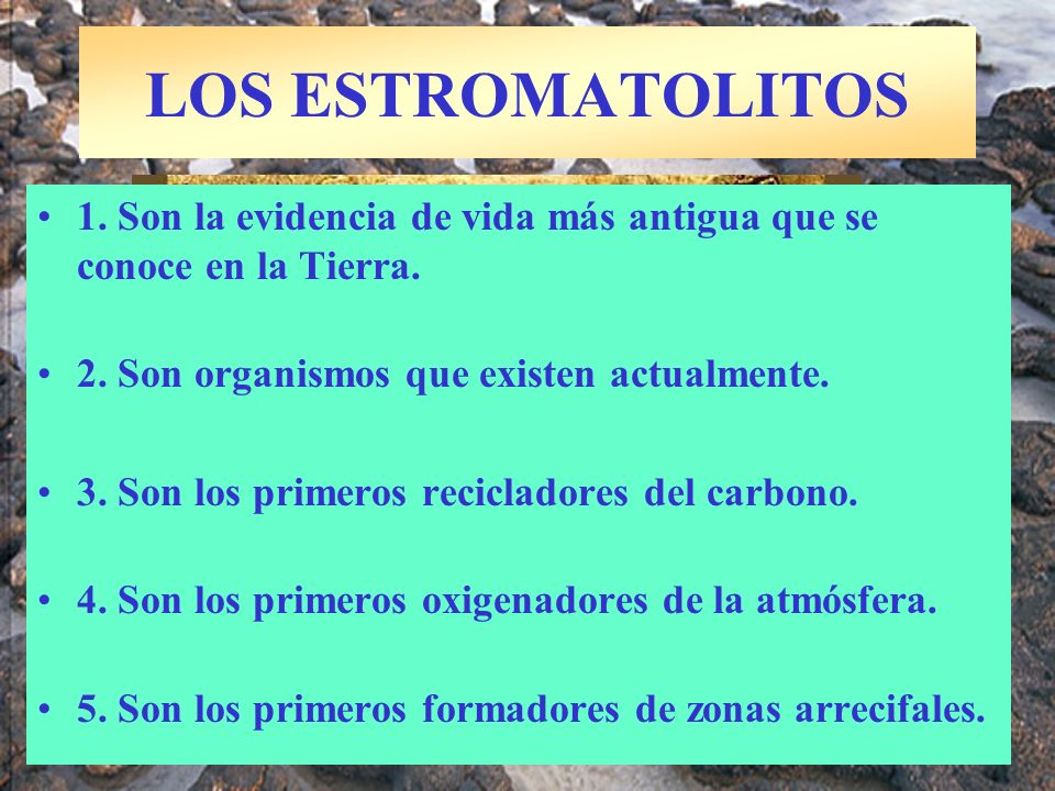 LOS ESTROMATOLITOS 1. Son la evidencia de vida más antigua que se conoce en la Tierra. 2. Son organismos que existen actualmente.