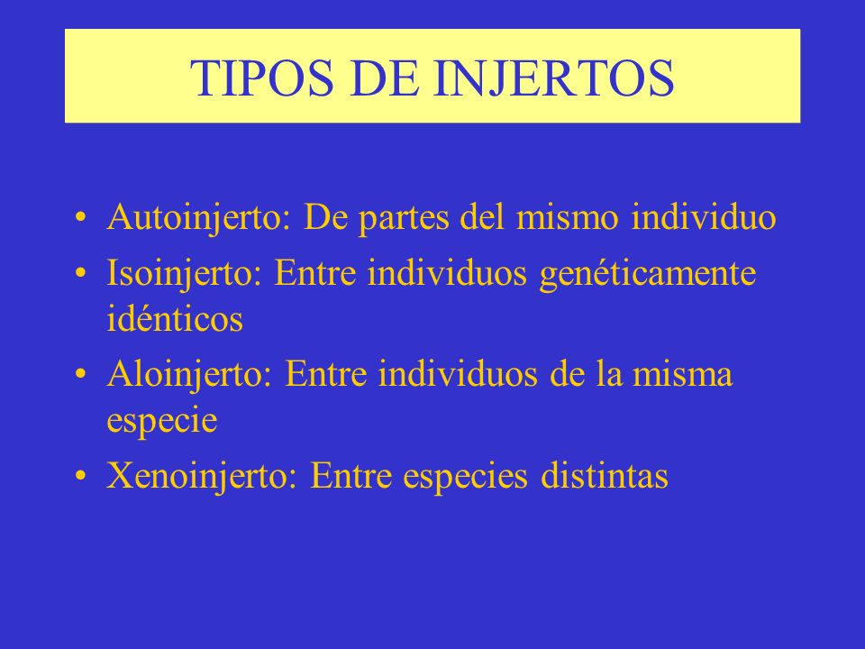 TIPOS DE INJERTOS Autoinjerto: De partes del mismo individuo