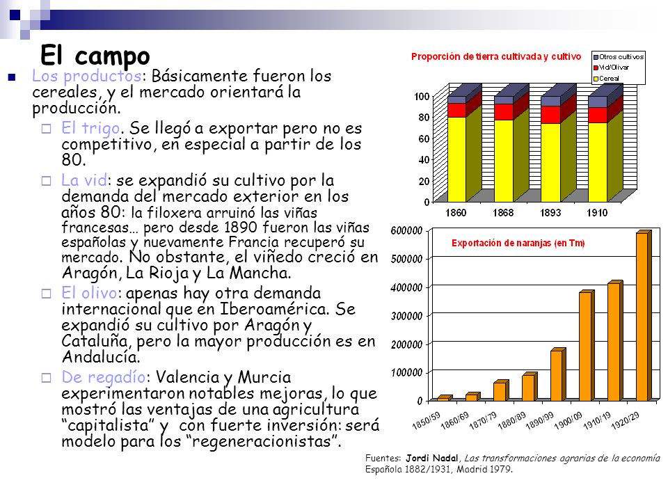 El campo Los productos: Básicamente fueron los cereales, y el mercado orientará la producción.