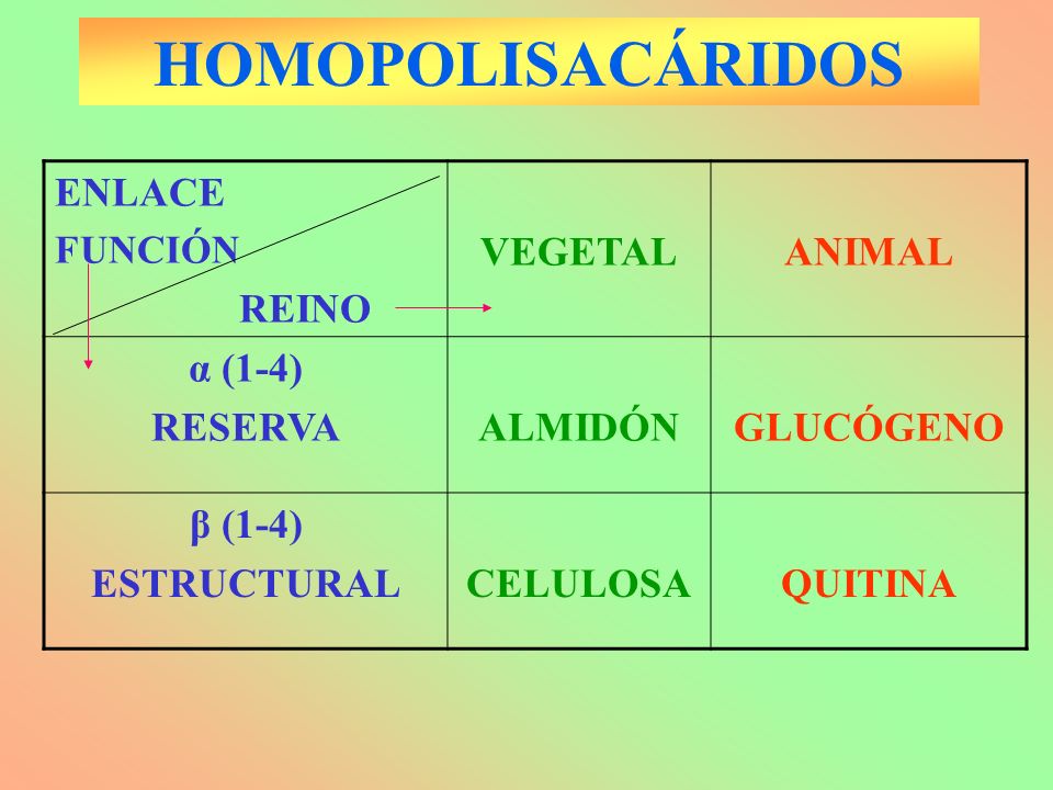 HOMOPOLISACÁRIDOS ENLACE REINO VEGETAL ANIMAL α (1-4) RESERVA ALMIDÓN