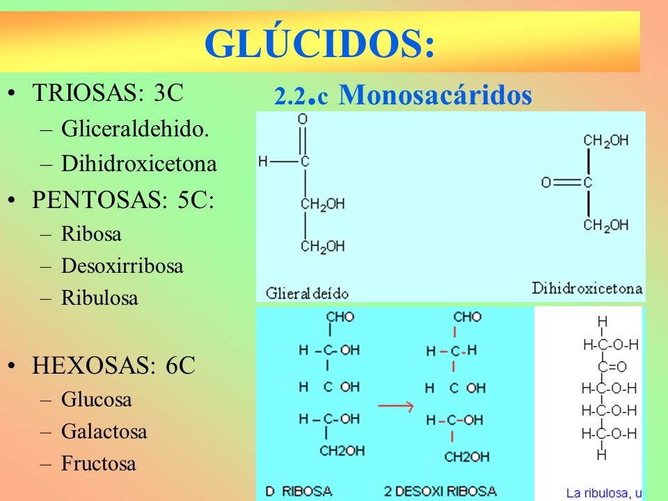 GLÚCIDOS: 2.2.c Monosacáridos TRIOSAS: 3C PENTOSAS: 5C: HEXOSAS: 6C