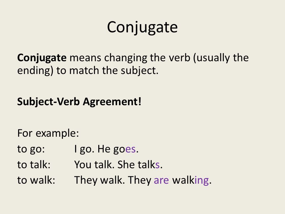 Conjugate