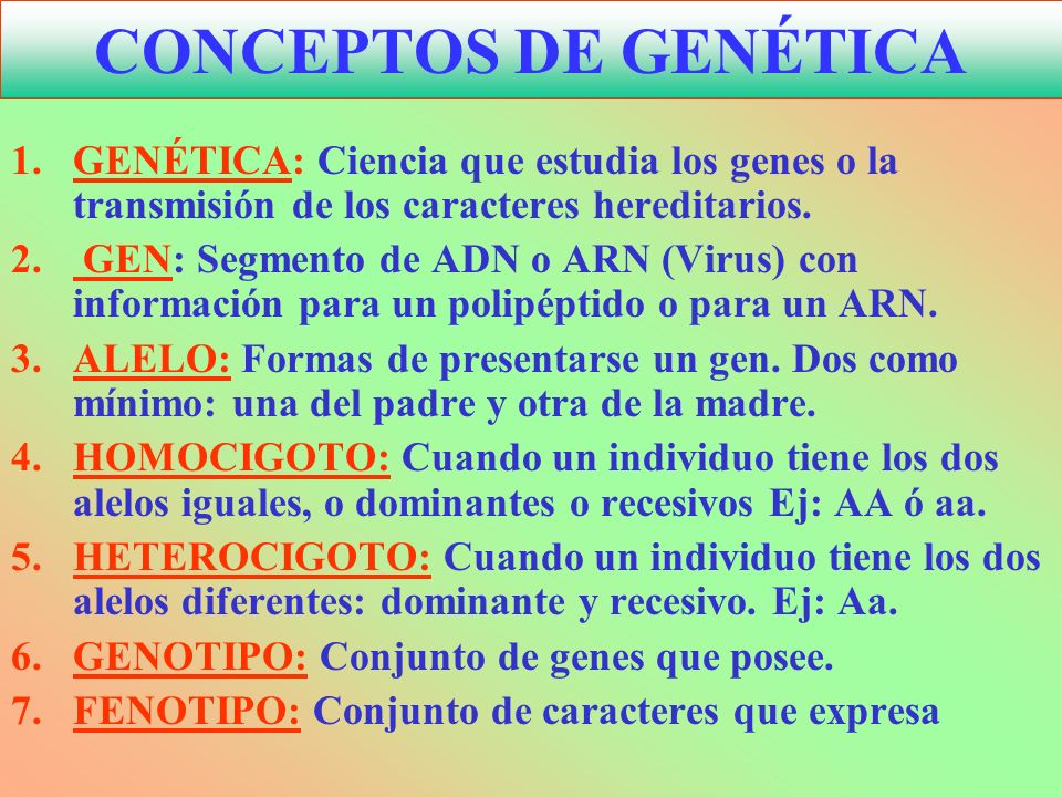 CONCEPTOS DE GENÉTICA GENÉTICA: Ciencia que estudia los genes o la transmisión de los caracteres hereditarios.