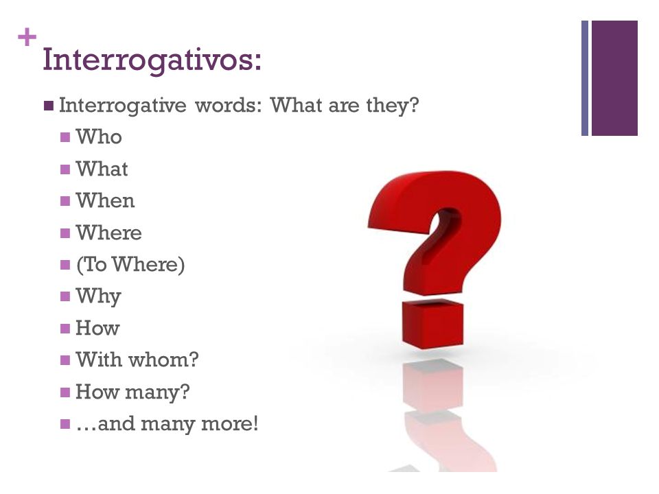 Interrogativos: Interrogative words: What are they Who What When
