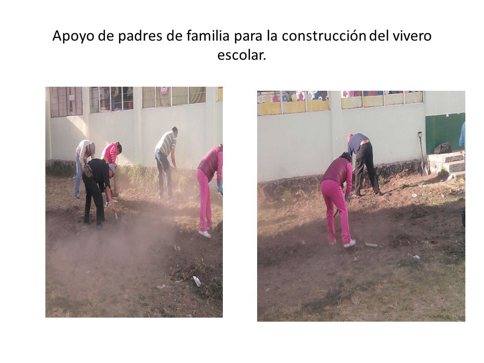 Apoyo de padres de familia para la construcción del vivero escolar.
