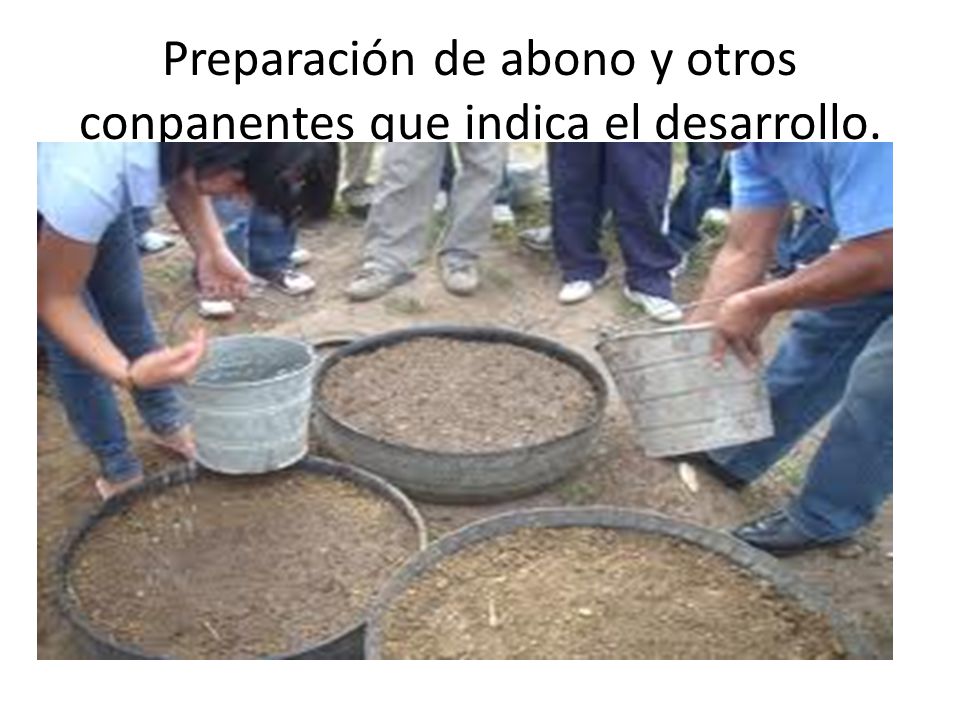 Preparación de abono y otros conpanentes que indica el desarrollo.