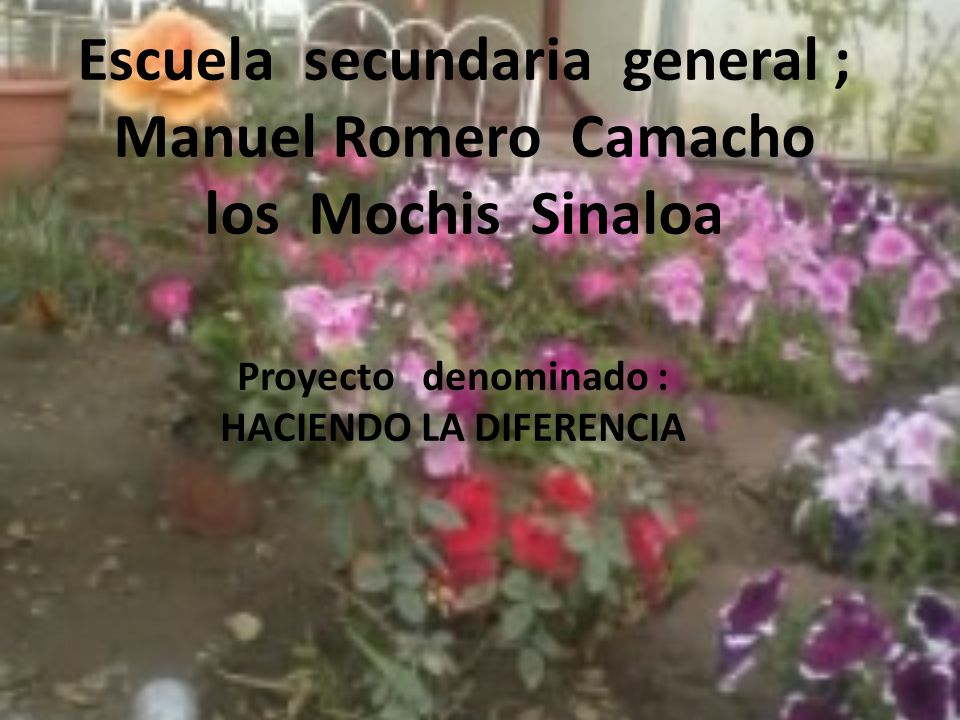 Escuela secundaria general ; Manuel Romero Camacho los Mochis Sinaloa