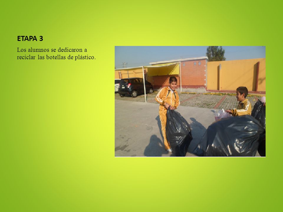 ETAPA 3 Los alumnos se dedicaron a reciclar las botellas de plástico.