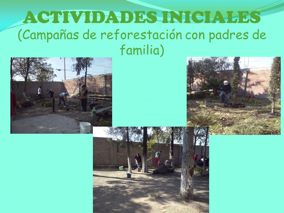 ACTIVIDADES INICIALES (Campañas de reforestación con padres de familia)