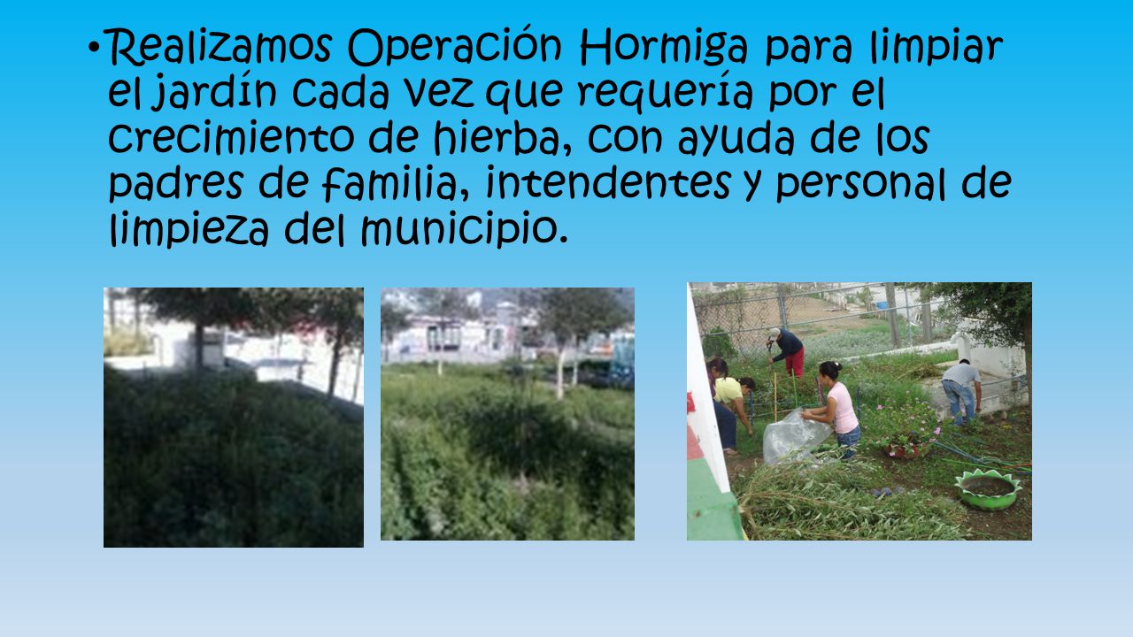 Realizamos Operación Hormiga para limpiar el jardín cada vez que requería por el crecimiento de hierba, con ayuda de los padres de familia, intendentes y personal de limpieza del municipio.