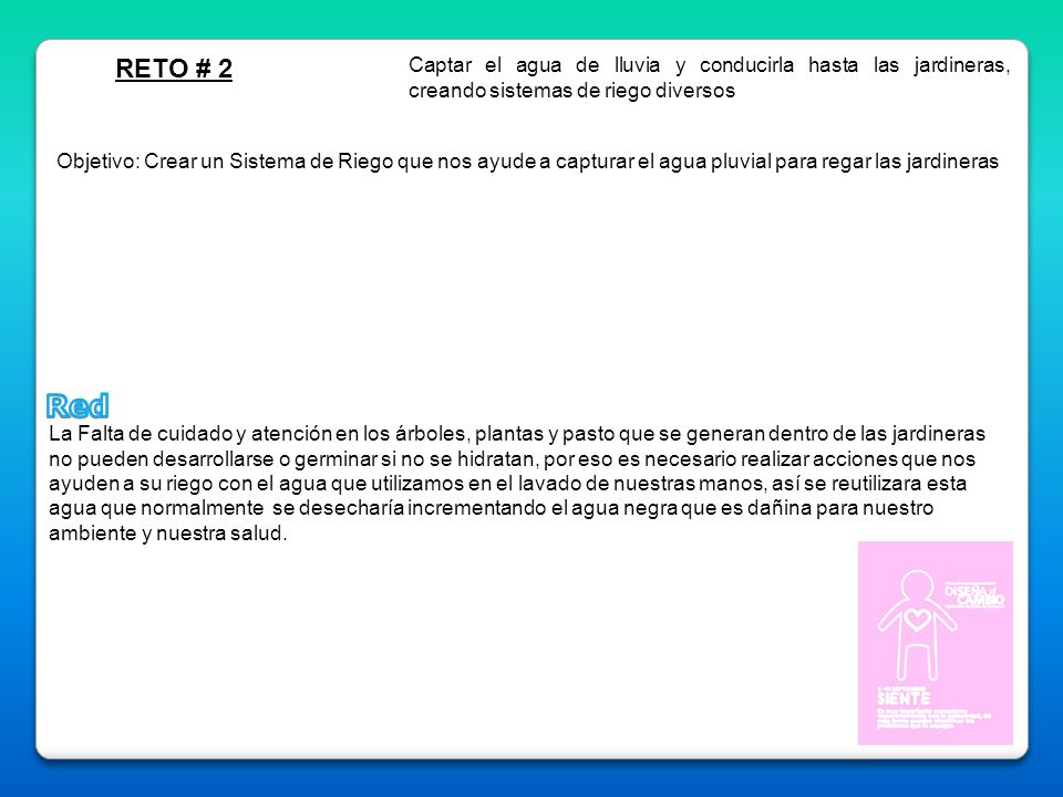 RETO # 2 Captar el agua de lluvia y conducirla hasta las jardineras, creando sistemas de riego diversos.