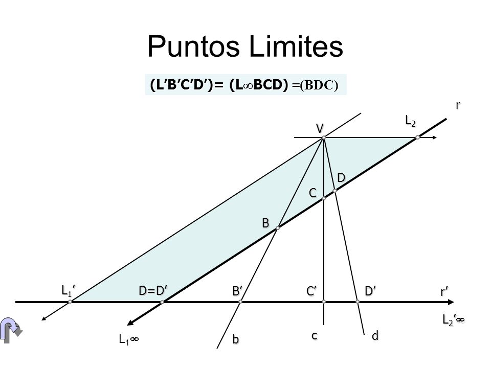 Puntos Limites (L’B’C’D’)= (LBCD) =(BDC) r L2 V D C B L1’ D=D’ B’ C’